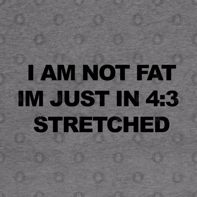 I am not fat, im just in 4:3 stretched by Mrmera